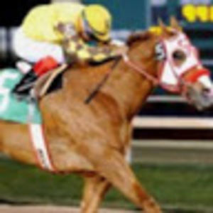 Meet your Posher, Martin